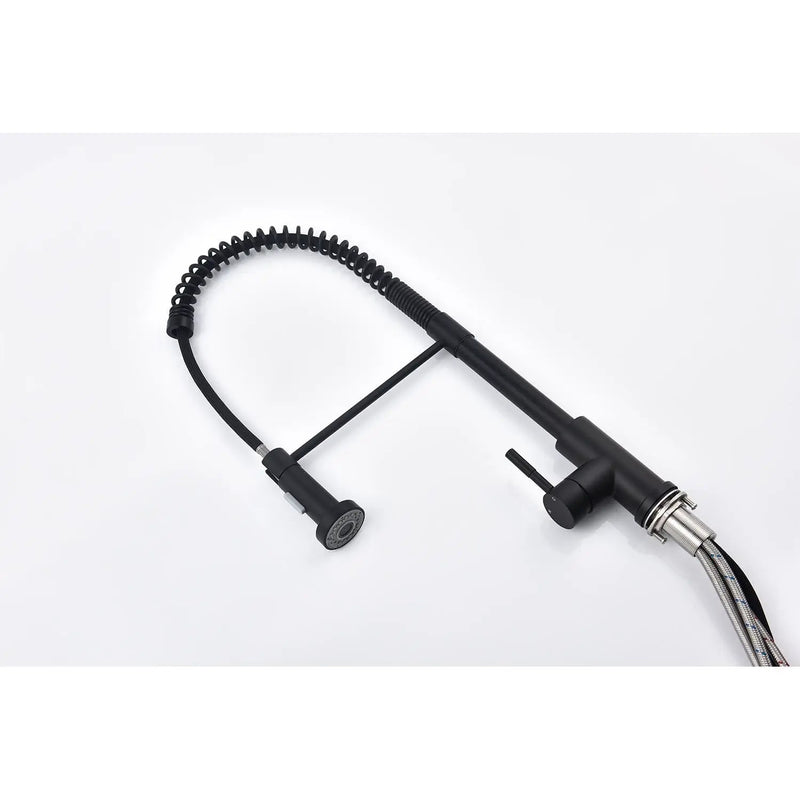 Pull Down Single Handle Spring Kitchen Faucet by HouseOfZazla