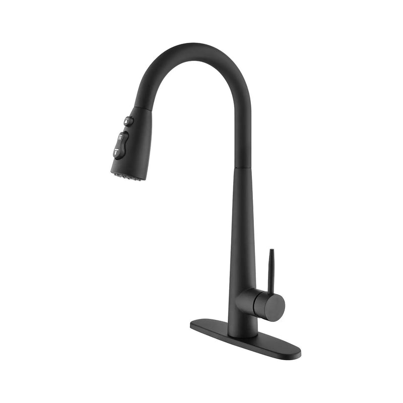 Single Handle Stainless Steel Kitchen Sink Faucet with Pull Down Sprayer by HouseOfZazla