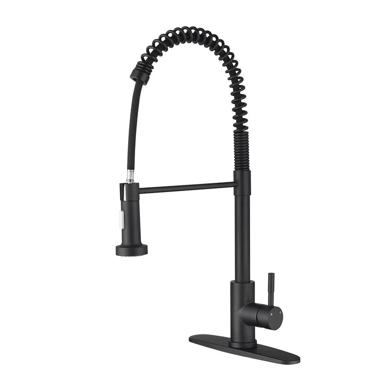 Pull Down Single Handle Spring Kitchen Faucet by HouseOfZazla