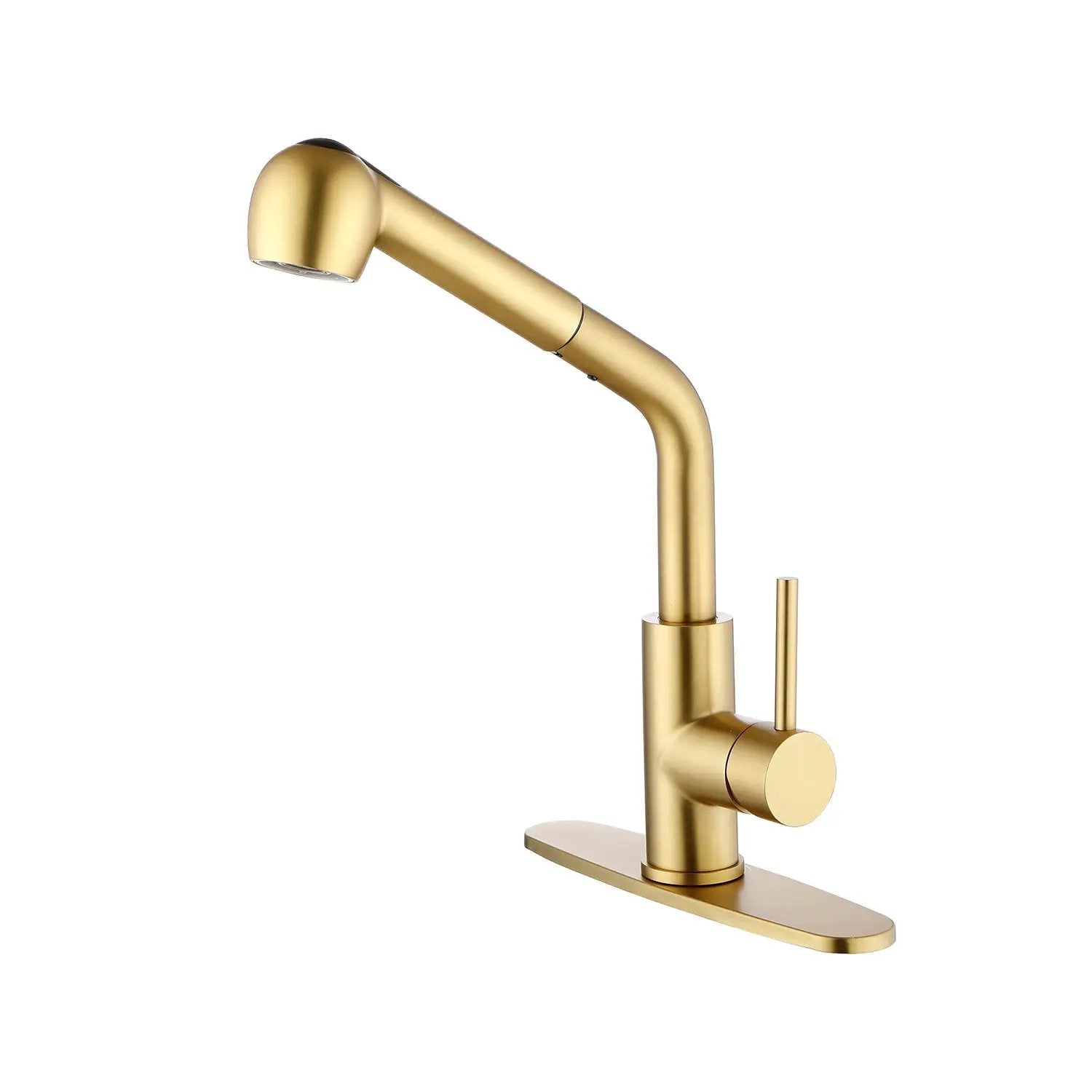 Single Handle Kitchen Sink Faucet with Pull Out Sprayer by HouseOfZazla