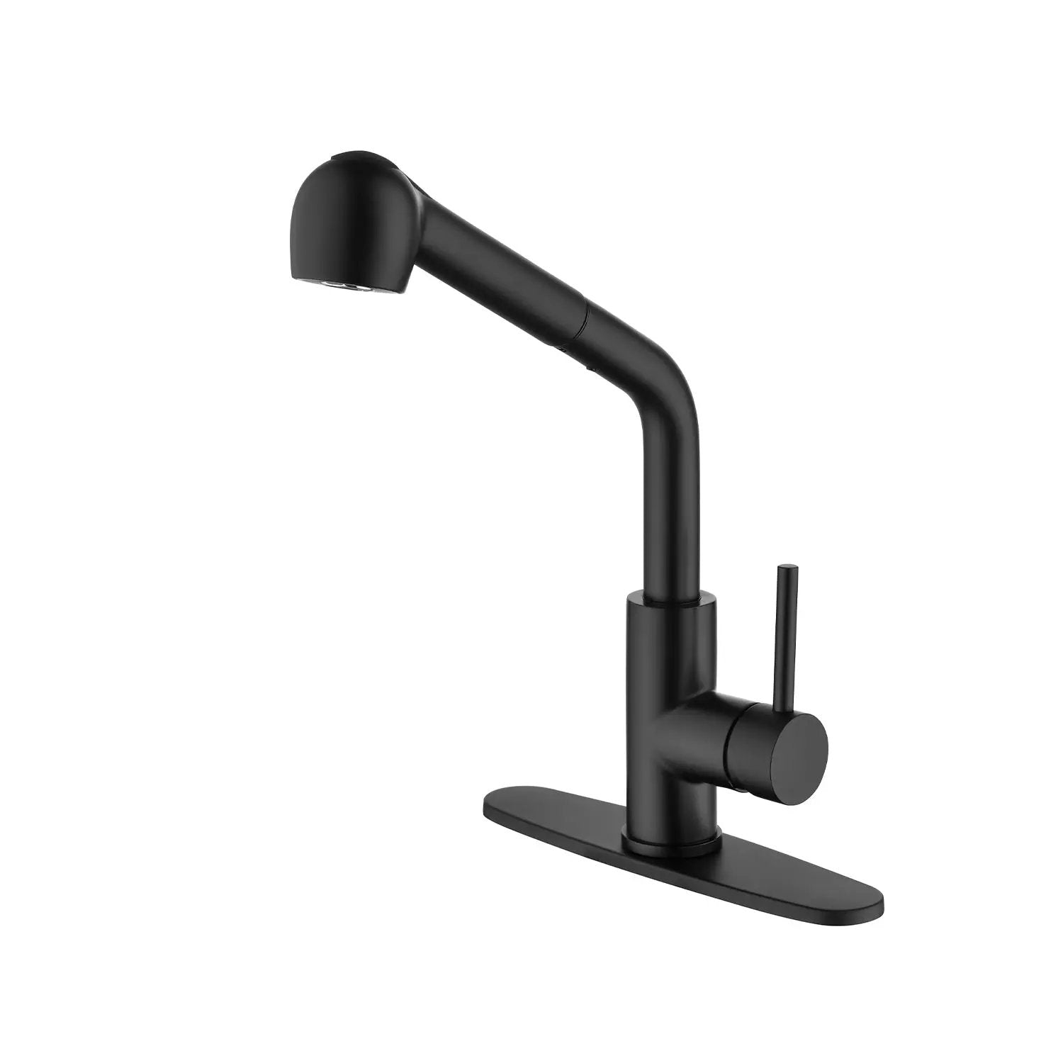 Single Handle Kitchen Sink Faucet with Pull Out Sprayer by HouseOfZazla