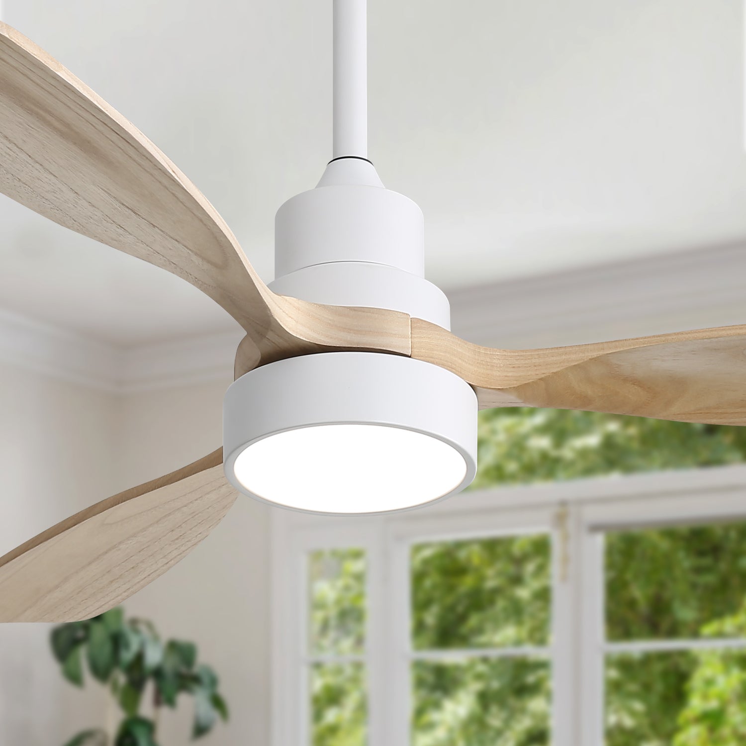48 Inch Indoor Ceiling Fan with Light and Remote Control by HouseOfZazla