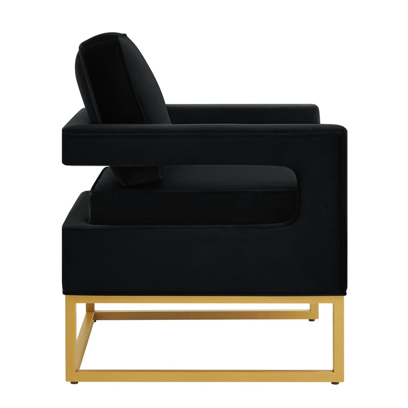 Modern Style Accent Chair with Velvet Fabric by HouseOfZazla