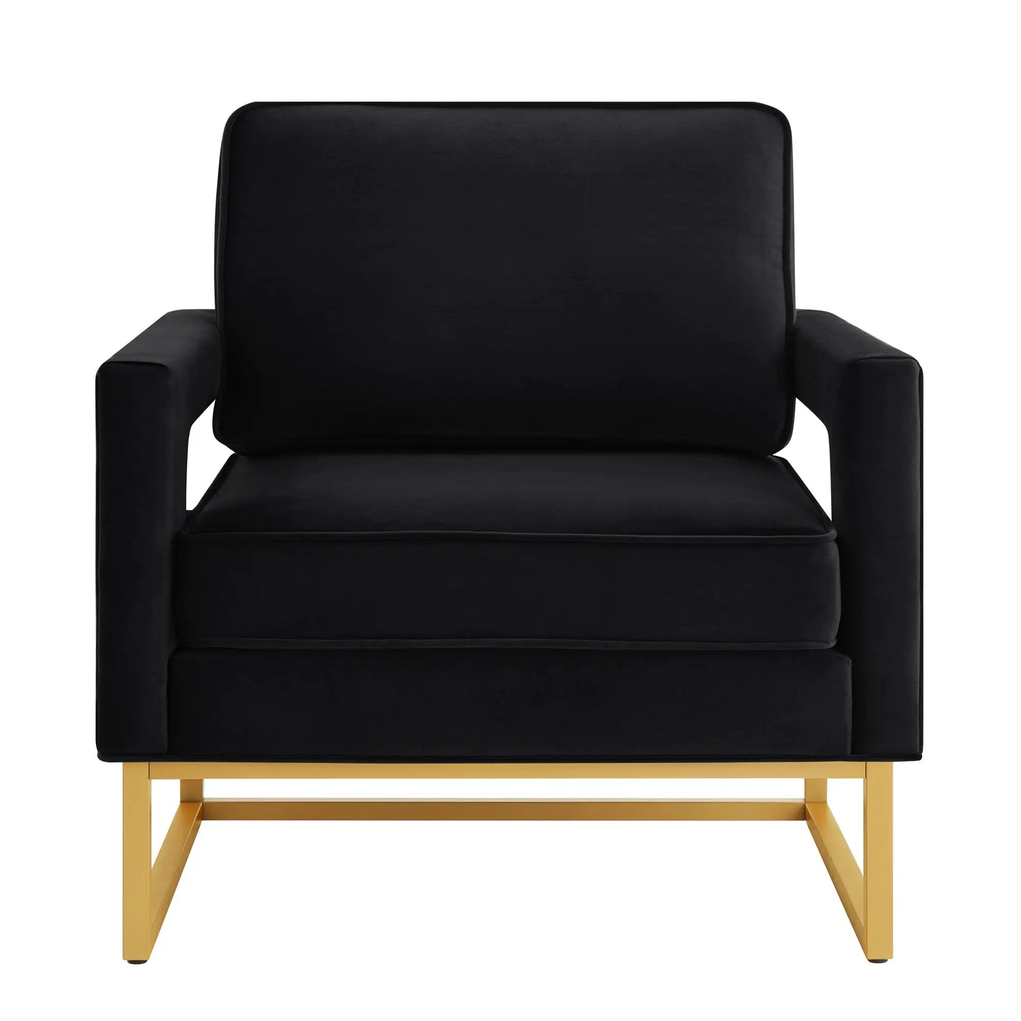 Modern Style Accent Chair with Velvet Fabric by HouseOfZazla