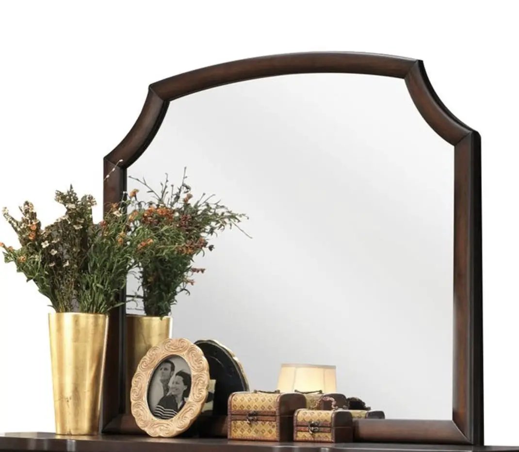 Lancaster - Mirror - Espresso by HouseOfZazla