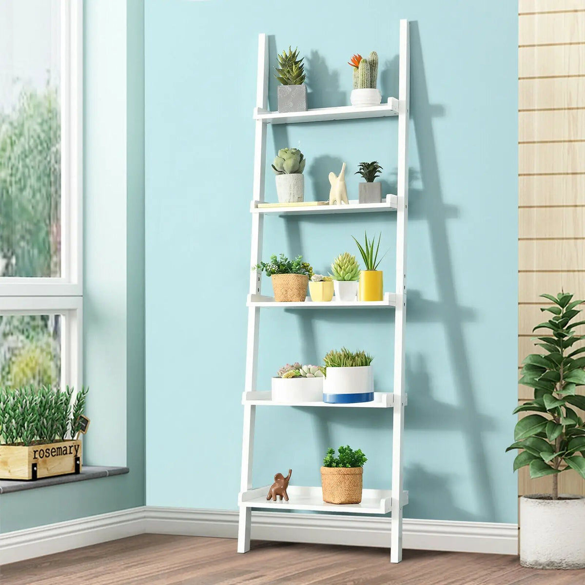 5-Tier Wall-leaning Ladder Shelf Display Rack for Plants and Books, photo 3 of 16