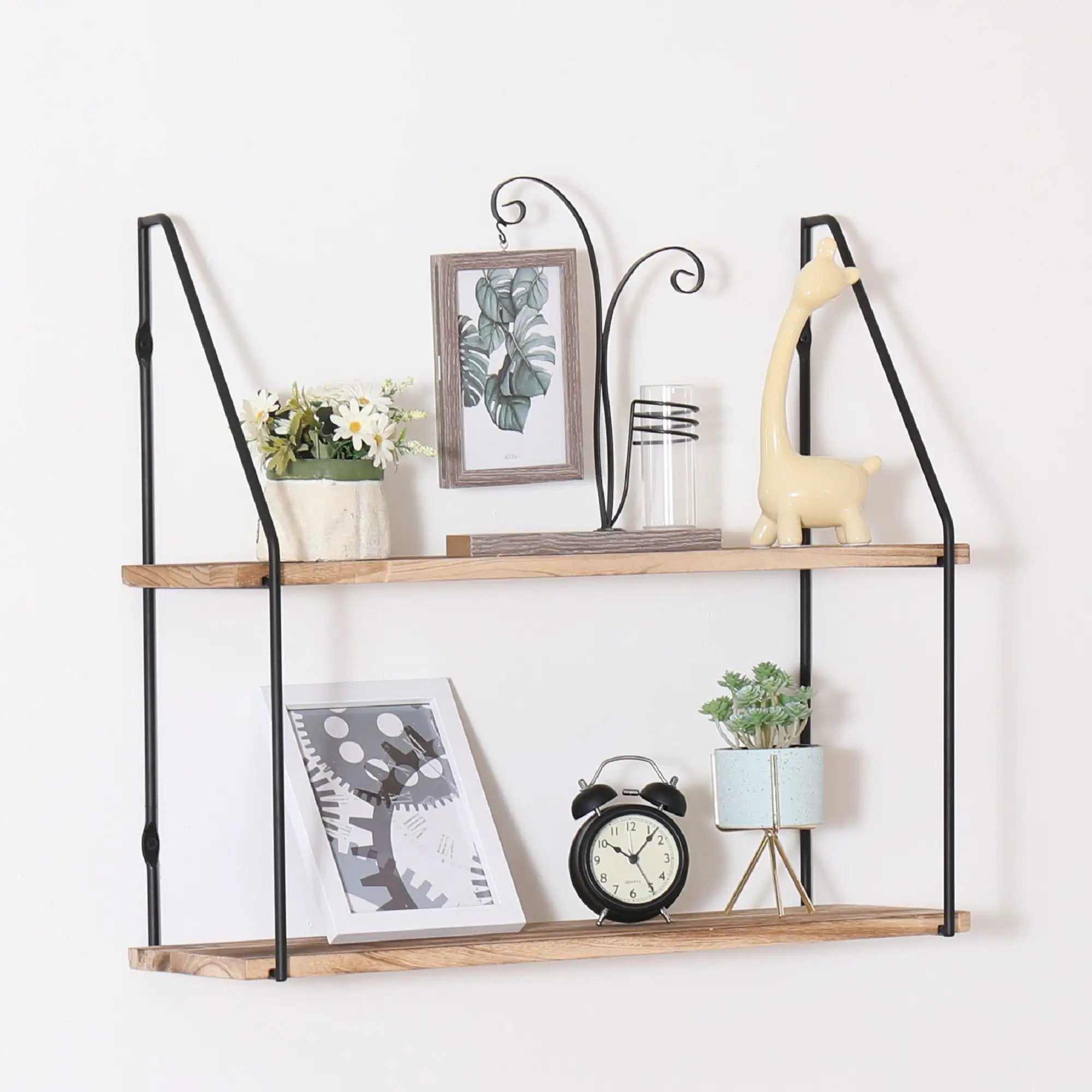 Gardenia - Wall Mounted Wall Storage, Decorative Hanging Display by HouseOfZazla