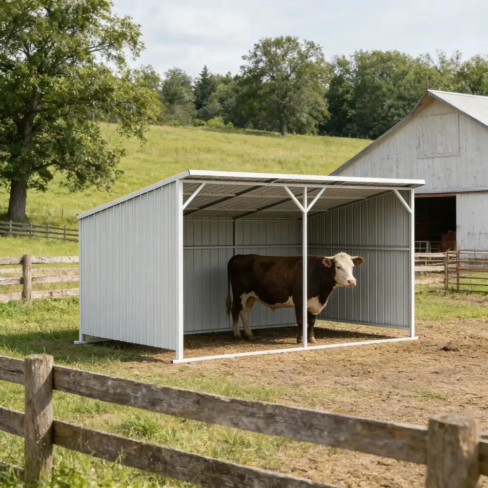 20'x12' Metal Livestock Shed for Horses & Farm Animals by Chery Industrial