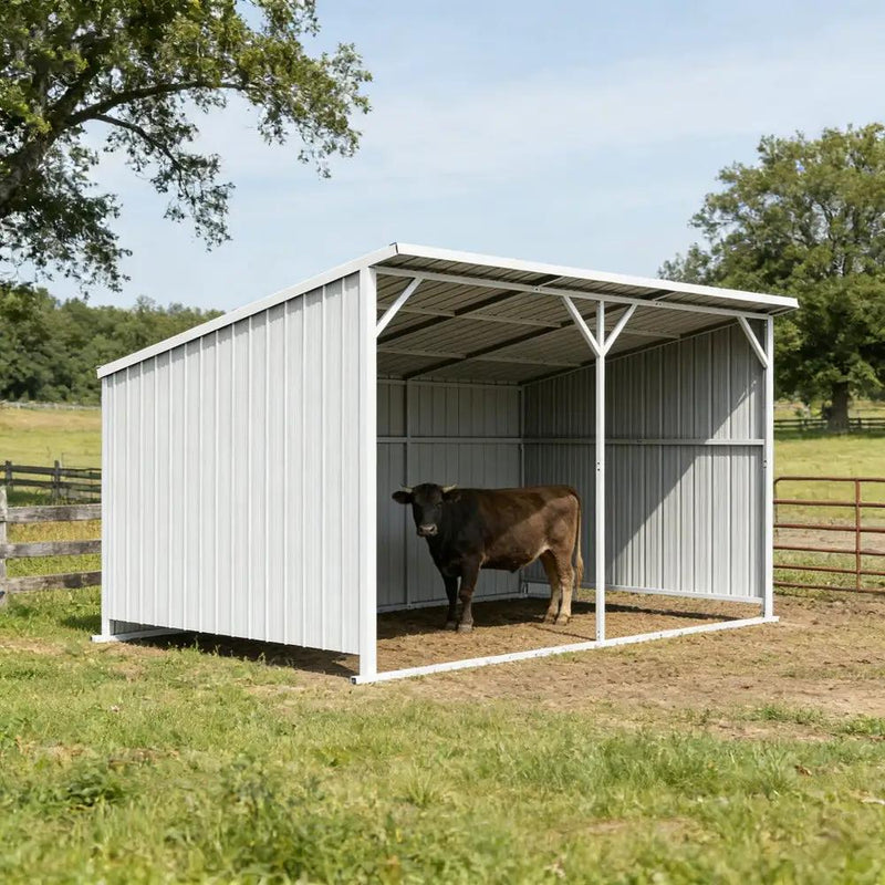 20'x12' Metal Livestock Shed for Horses & Farm Animals by Chery Industrial