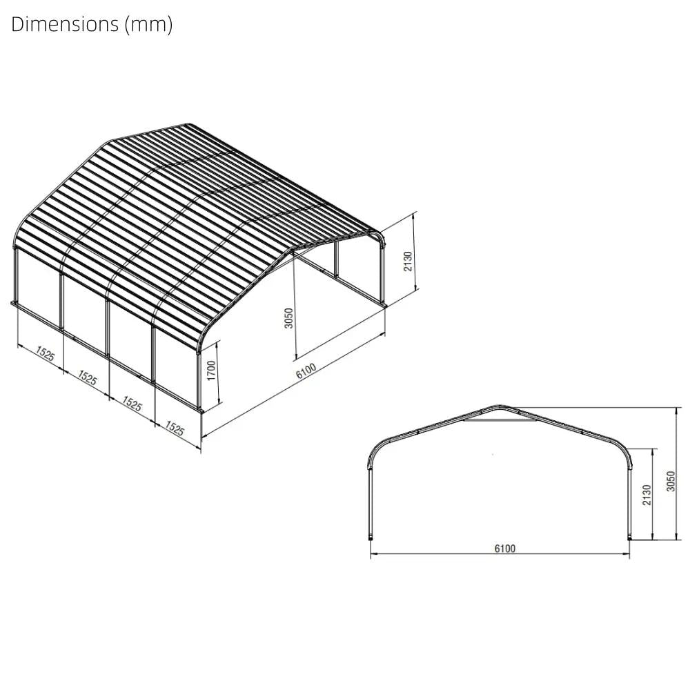20x20 ft Outdoor Metal Carport by Chery Industrial