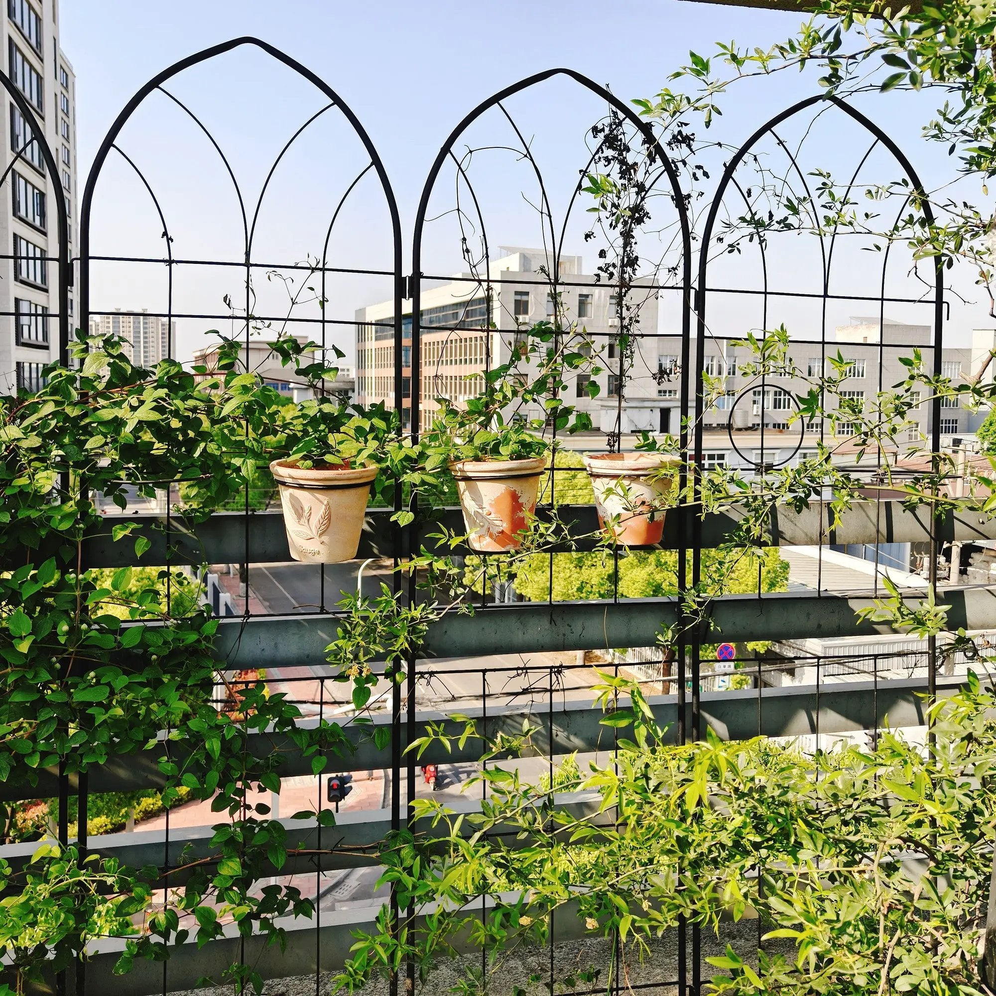 2 Pack Metal Garden Trellis 78.7" x 19.7" by HouseOfZazla