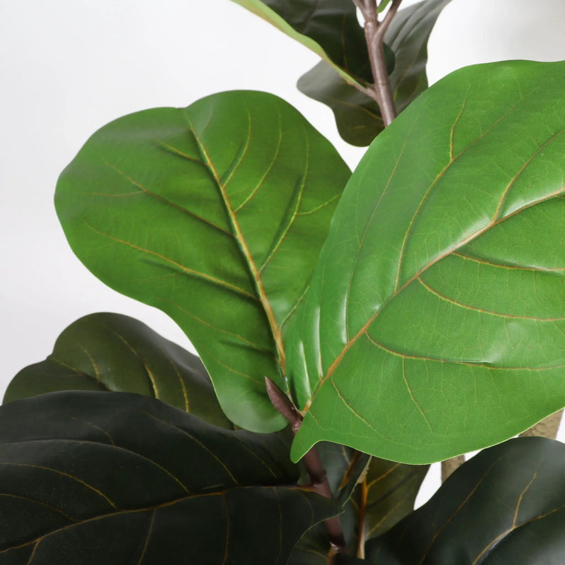 6Ft Real Touch Fake Fiddle Leaf Fig Tree In Pot, Indoor Decor For Home - Green Leaves by Unique Piece Furniture
