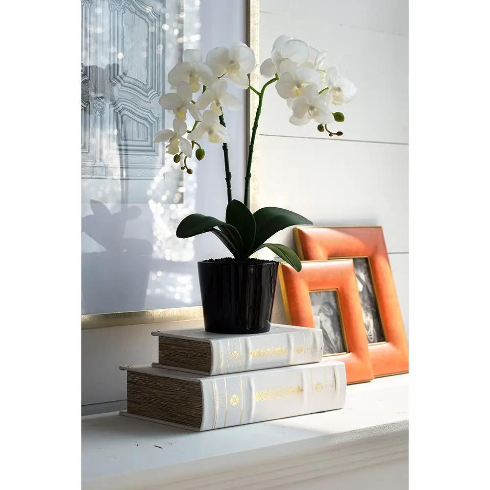 Book Boxes (Set of 2) - White / Gold by HouseOfZazla