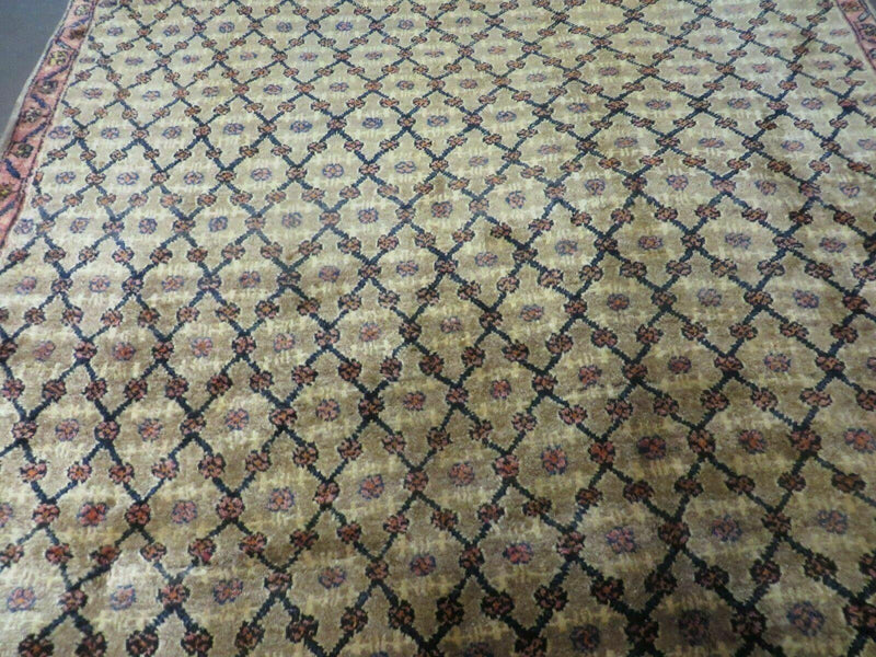 4' X 6' Handmade Indian Allover Wool Rug Camel Hair Color #119 by Jewel Rugs