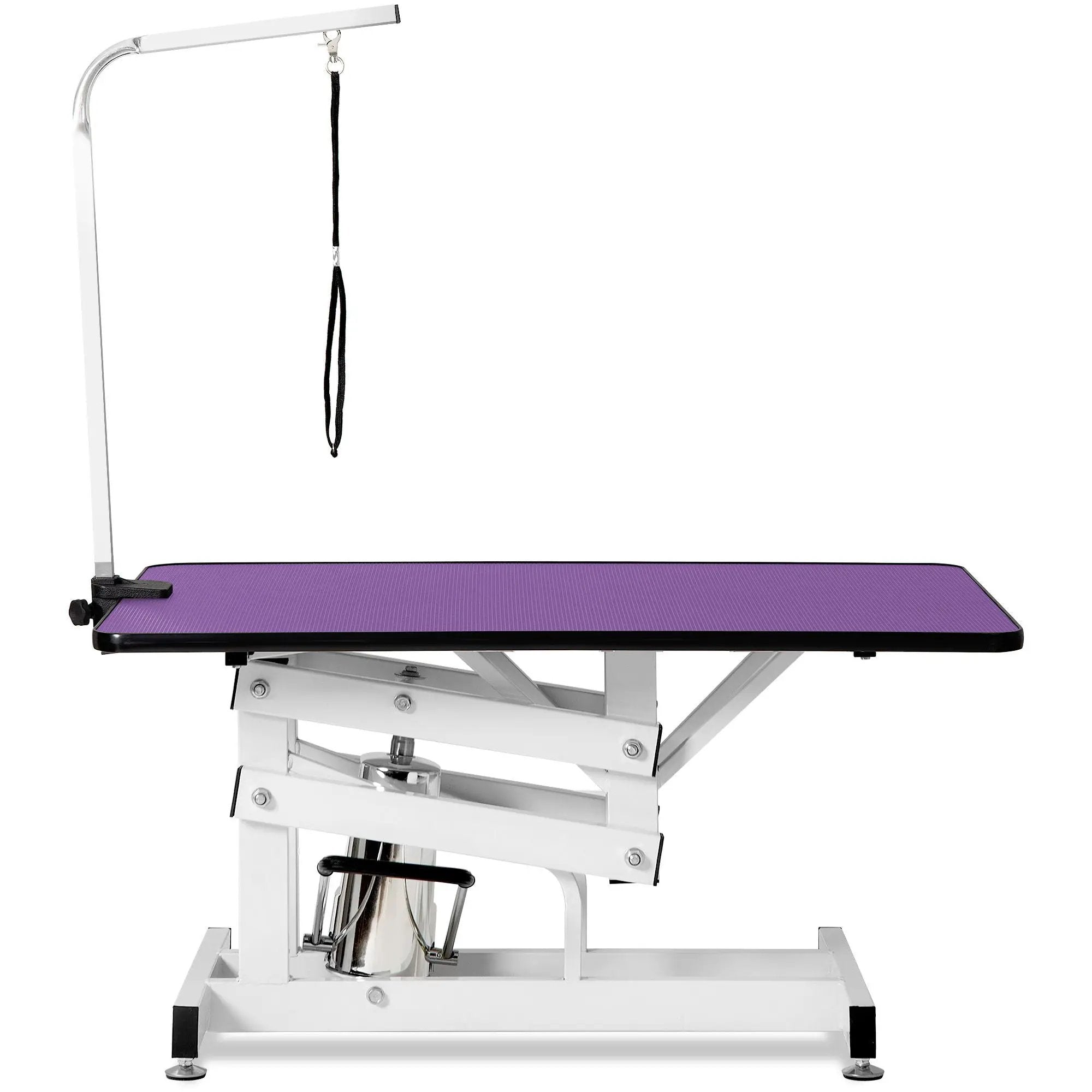 Hydraulic Pet Grooming Table by HouseOfZazla