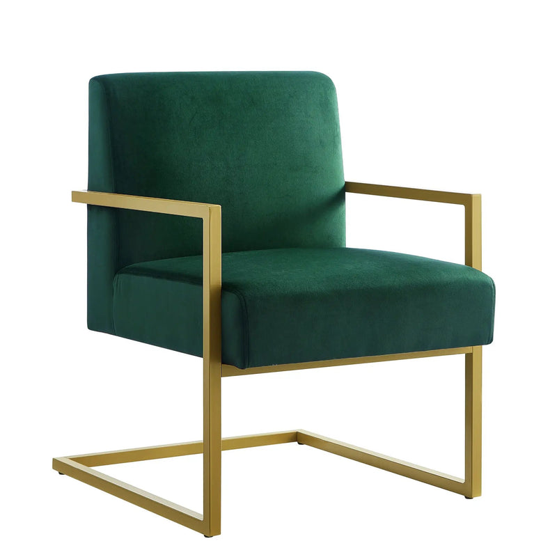 Fashion Velvet Accent Chair by HouseOfZazla