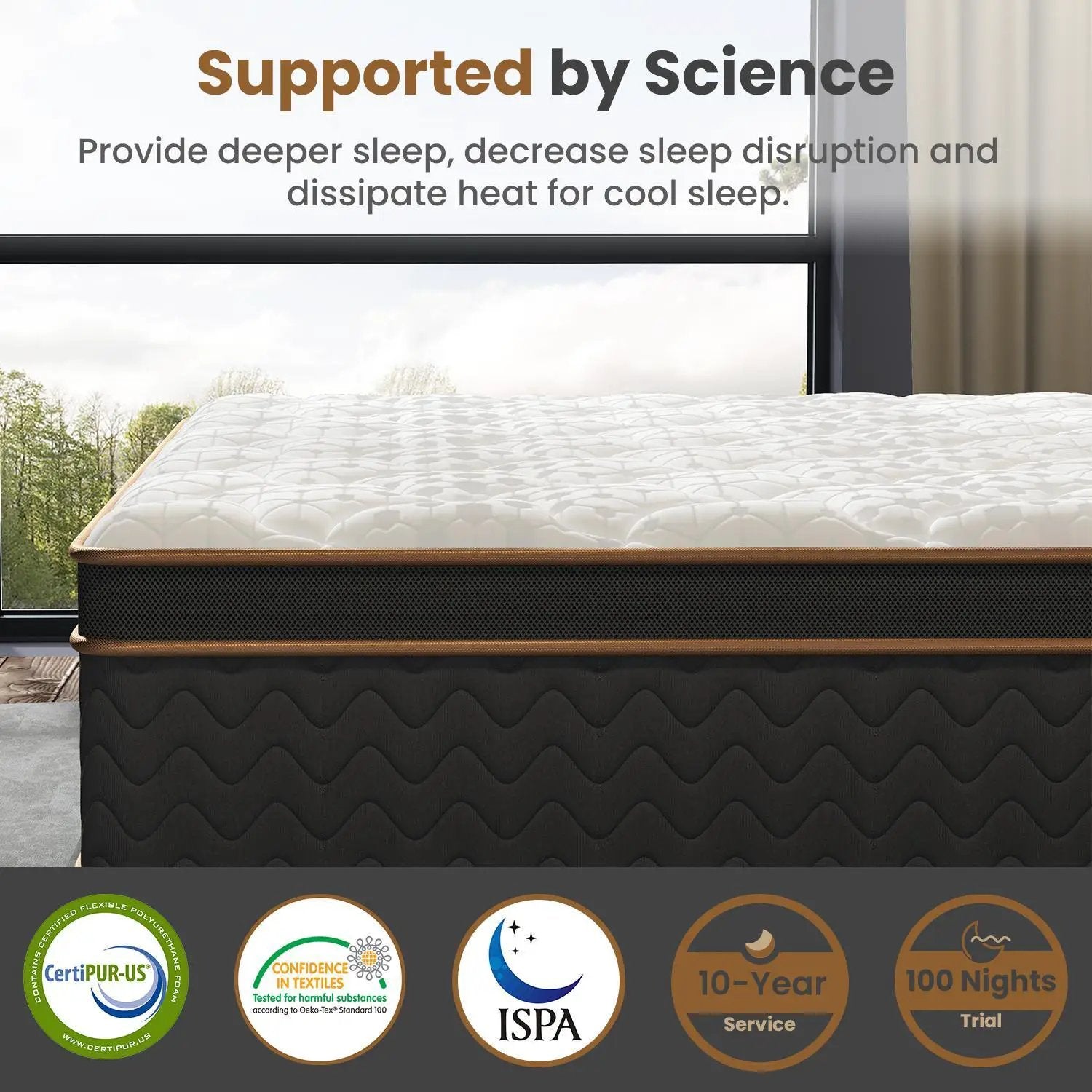Plush Hybrid Mattresses With Gel Memory Foam, Individual Pocket Spring Motion Isolation Edge Support by HouseOfZazla
