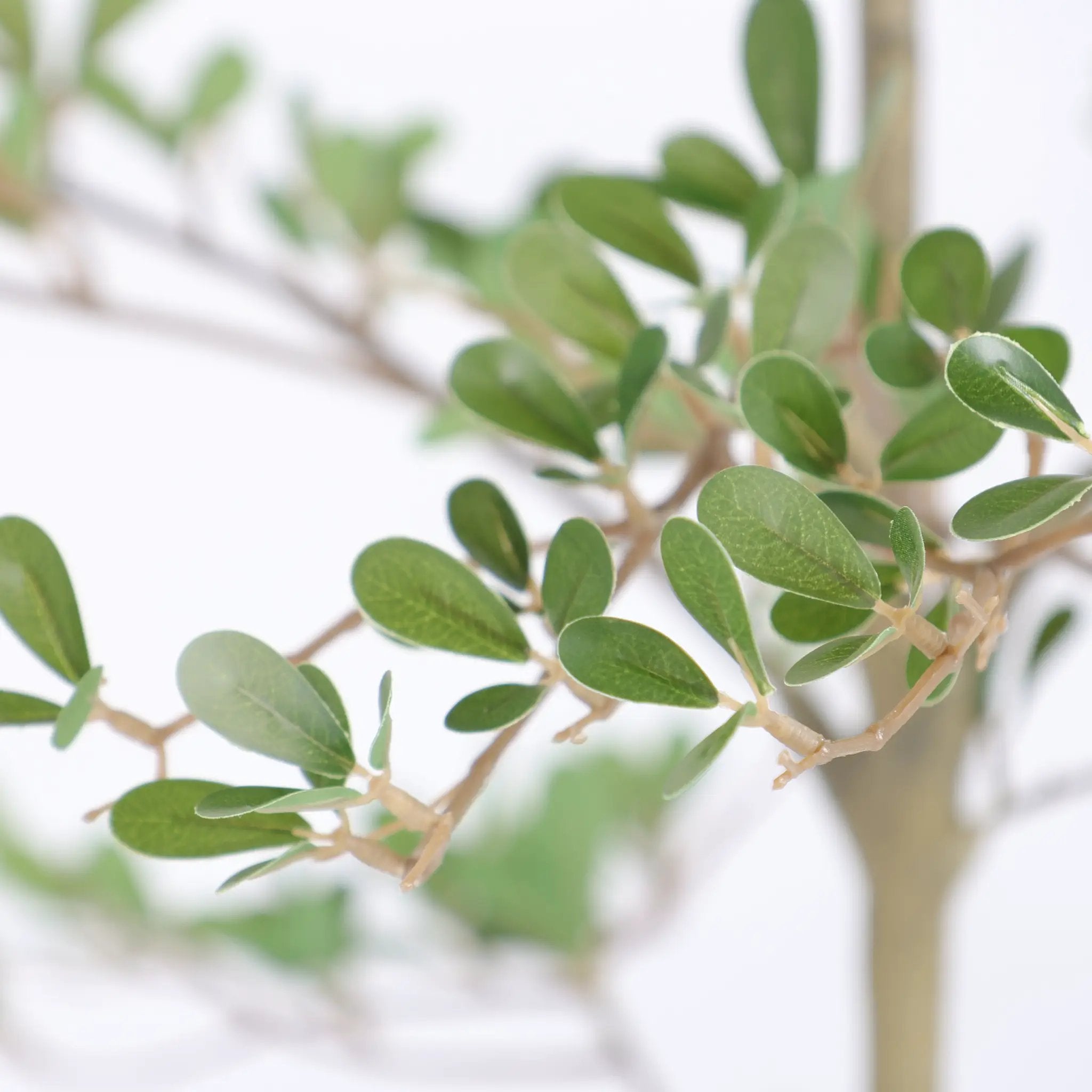 6ft Artificial Olive Tree, Realistic Faux Potted Plant by HouseOfZazla