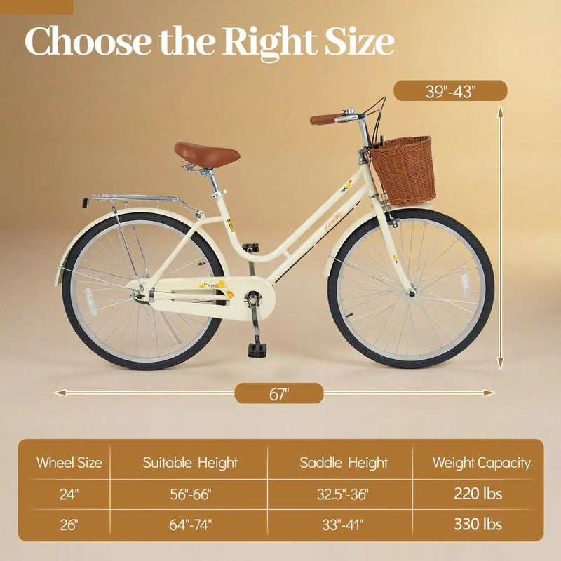24/26 Inch Beach Cruiser Bike with Basket and Rear Rack by DirectDeals