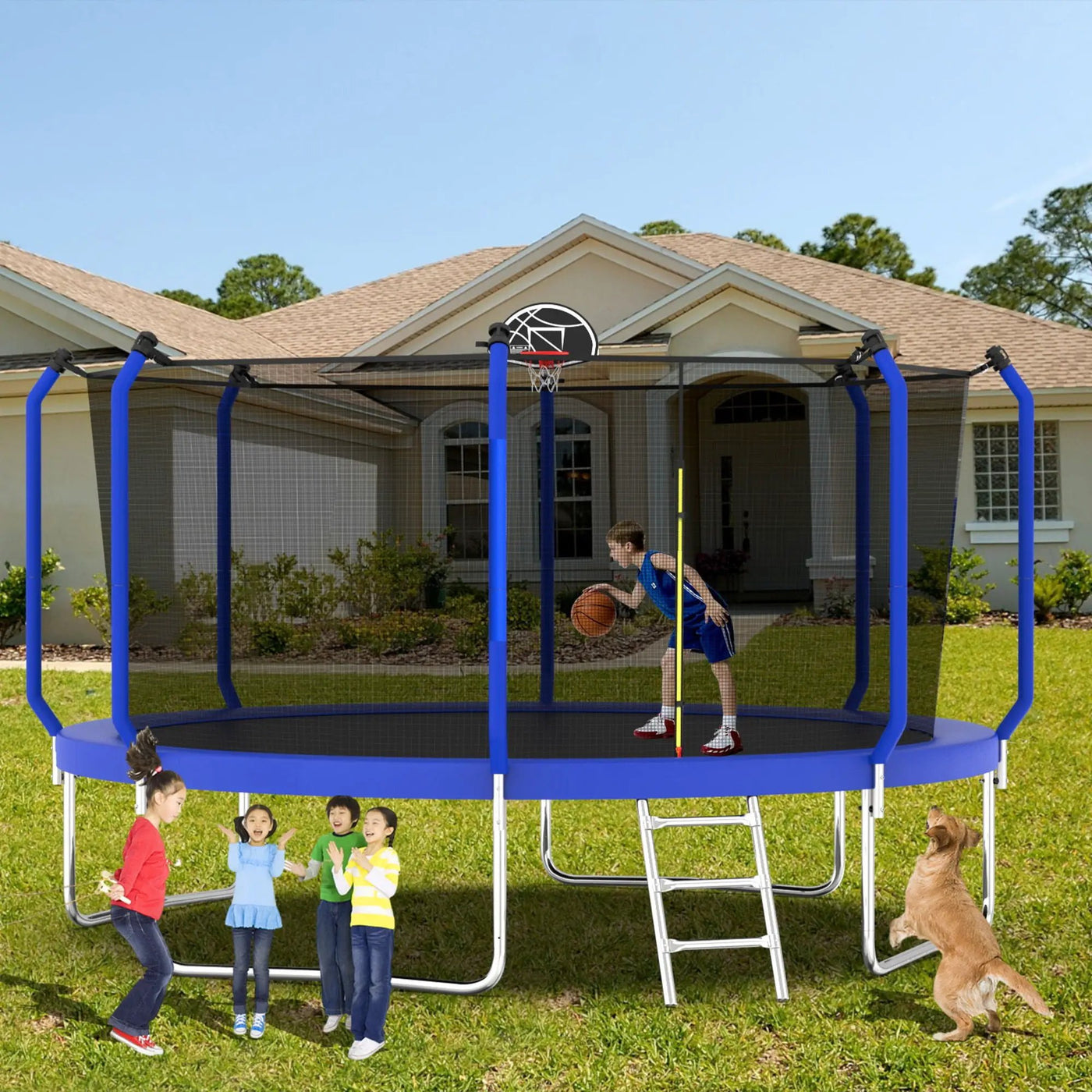 Trampoline With Basketball Hoop, Astm Approved Reinforced Type Outdoor Trampoline With Enclosure Net by HouseOfZazla