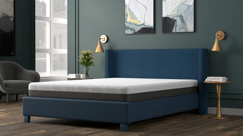 Omne Fria 8 Inch Queen Firm Mattress With Cooling Cover by HouseOfZazla