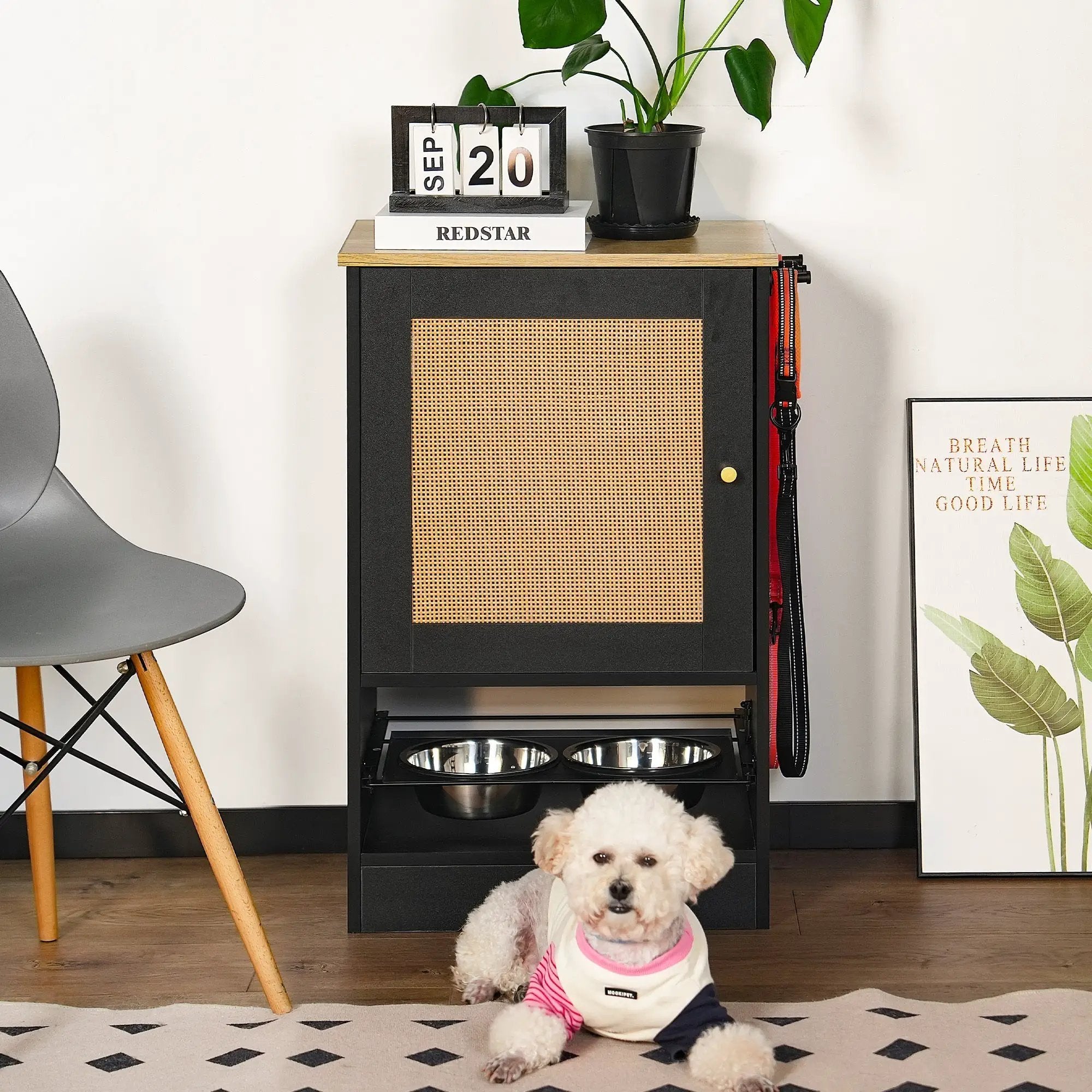 Feeding Station with 1 Storage Cabinet Black by HouseOfZazla