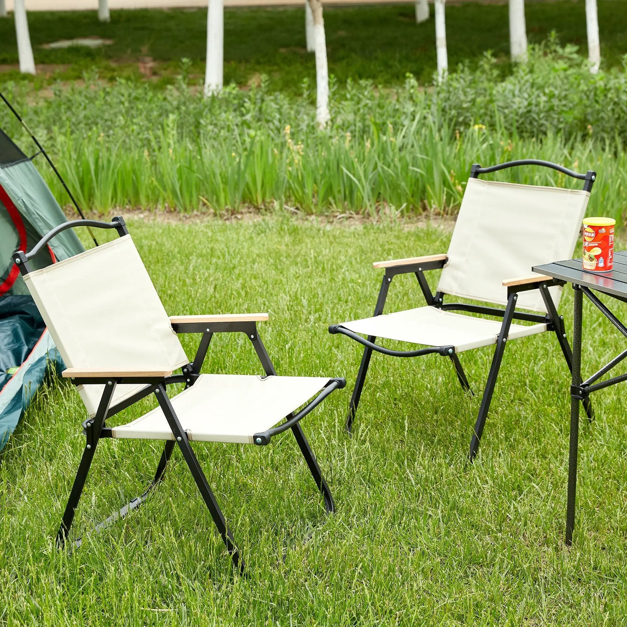 Folding Outdoor Chair For Indoor, Outdoor Camping, Picnics, Beach, Backyard, Bbq, Party, Patio by HouseOfZazla