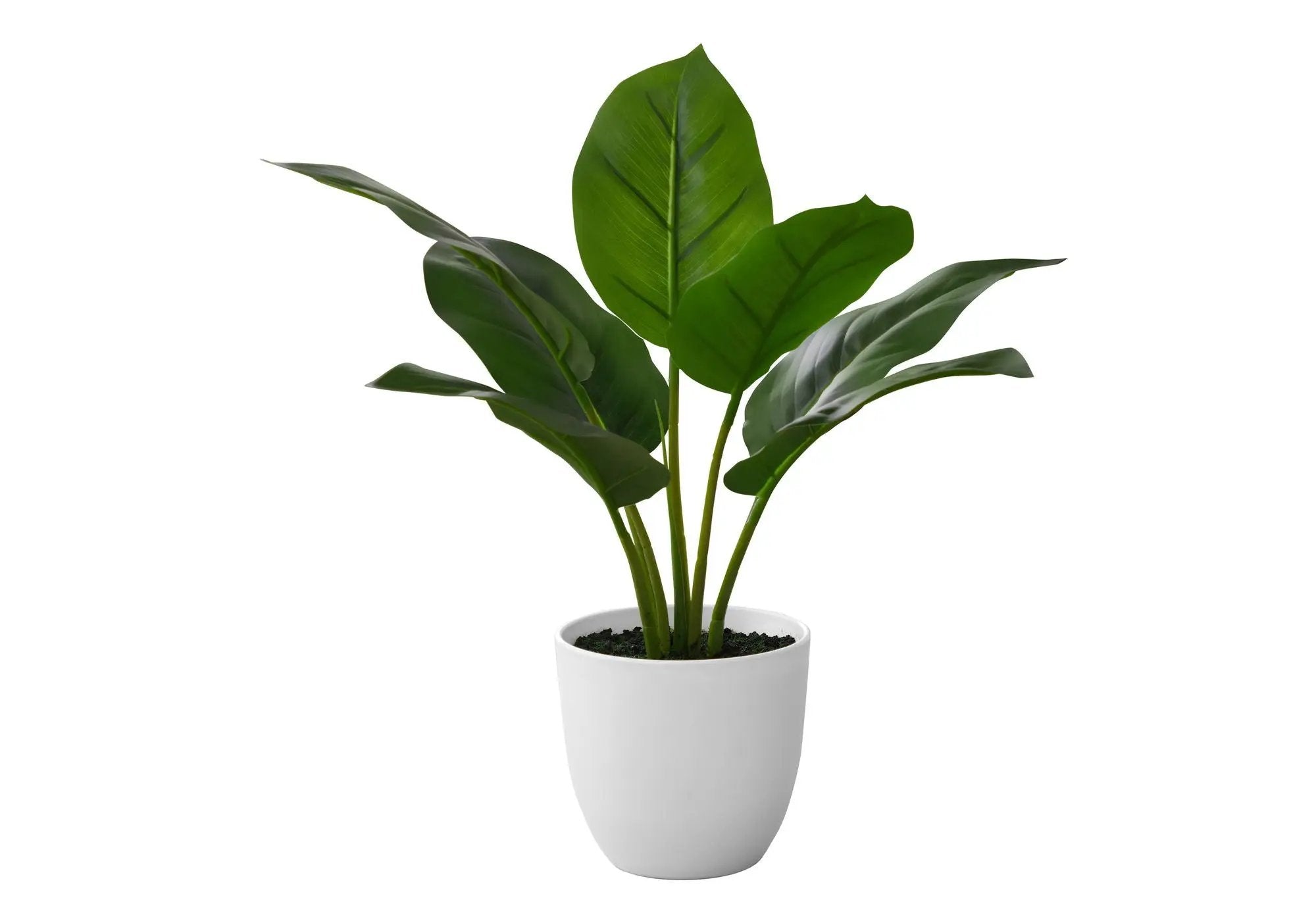 17" Tall Aureum Artificial Indoor Plant in White Pot by HouseOfZazla