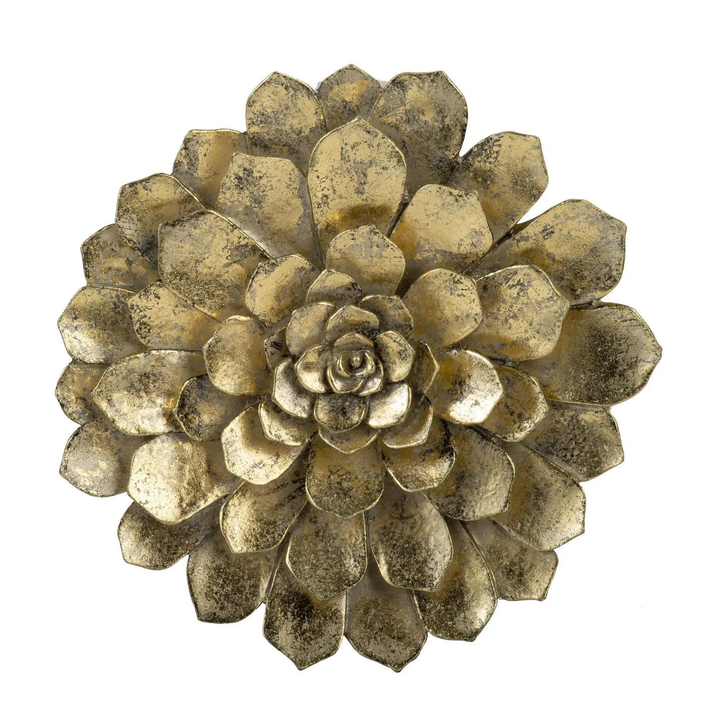 Succulent Wall Plaque by Unique Piece Furniture
