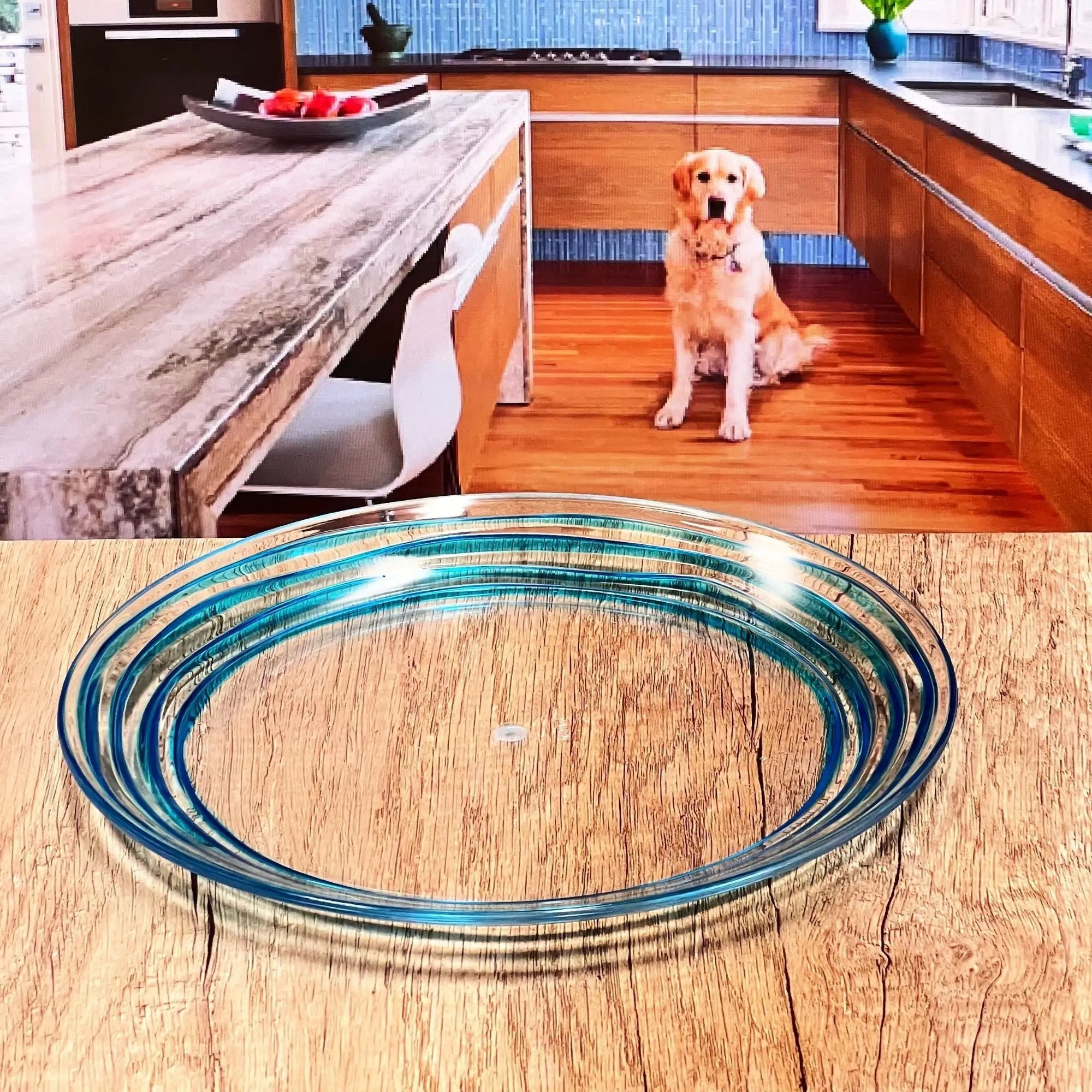 Designer Swirl Acrylic Dinner Plates (Set of 4) by HouseOfZazla