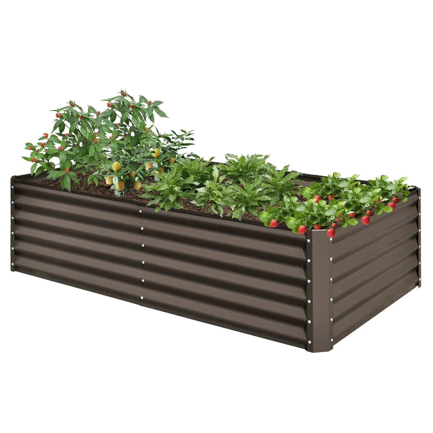 6x3x1.5ft Galvanized Raised Garden Bed by HouseOfZazla