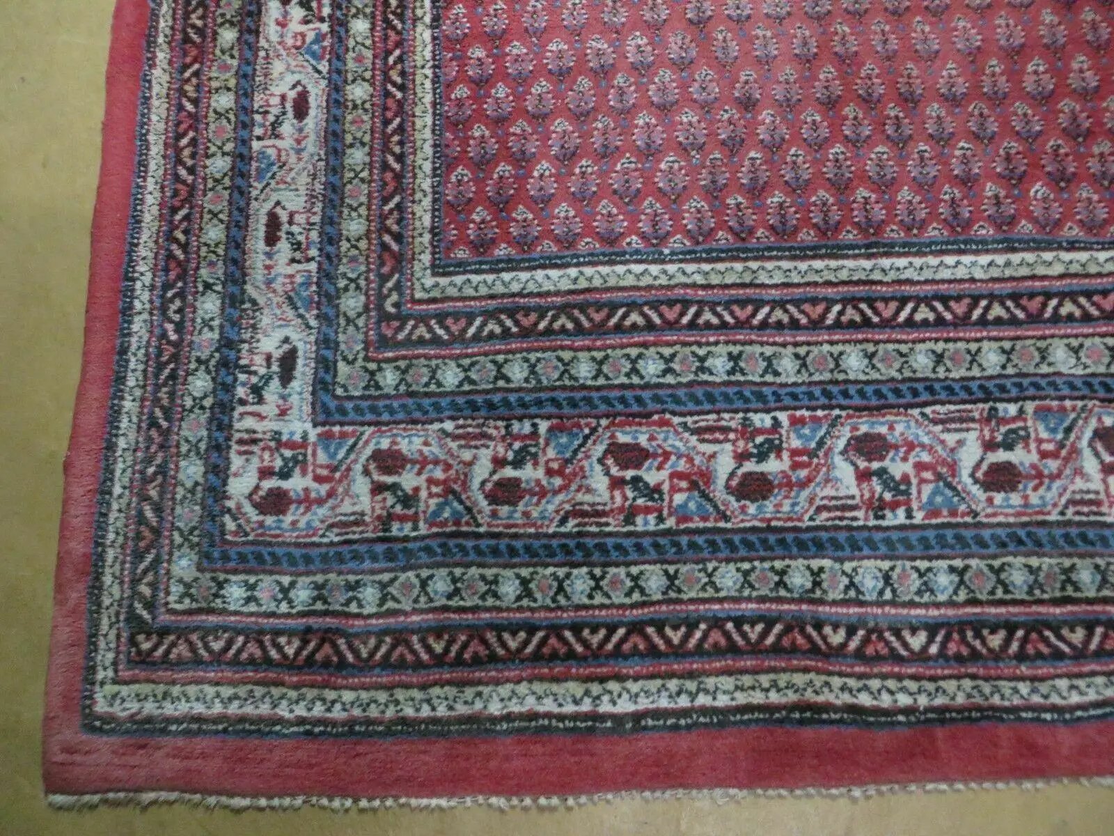 7' X 9' Vintage India Oriental Paisley Handmade Wool Rug Red Vegetable Dyes by Jewel Rugs