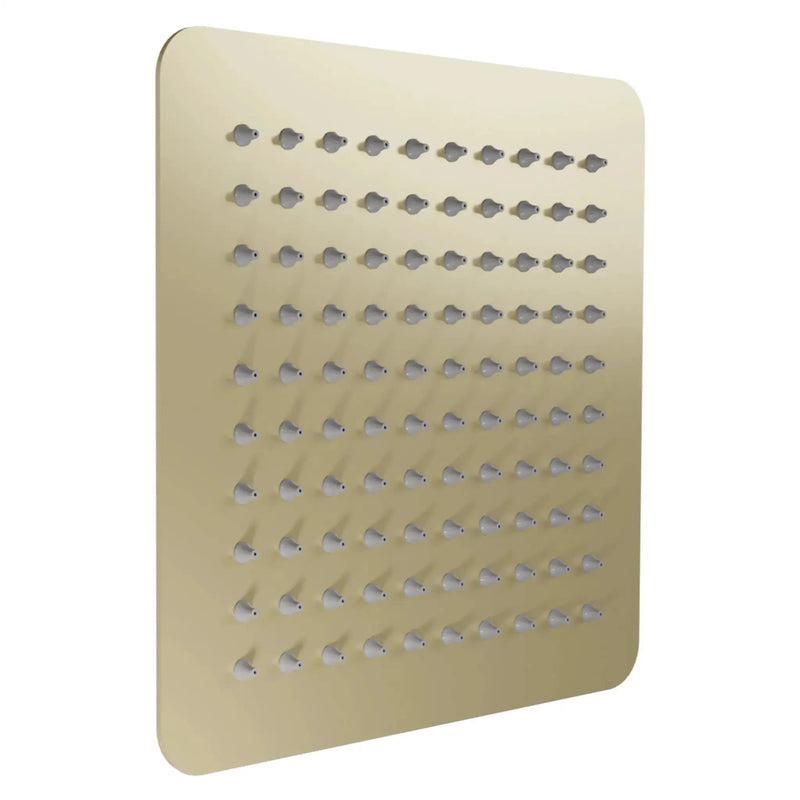 ZLINE 12" Bliss Shower Head in Champagne Bronze BLS-H12-CB by Farmhouse Kitchen and Bath