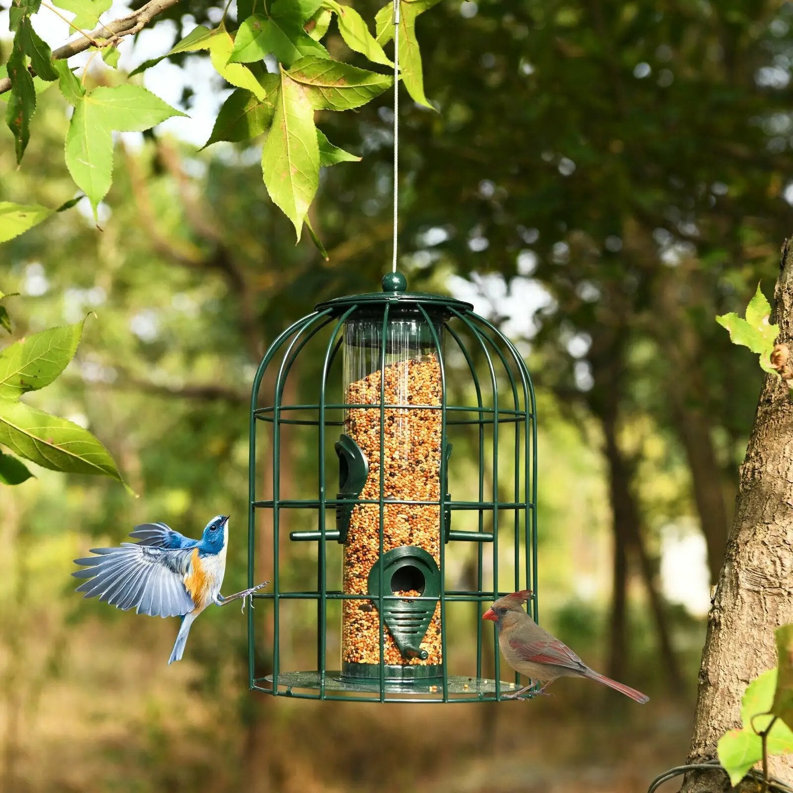 Squirrel-proof Caged Tube Wild Bird Feeder Outdoor Metal Seed Guard Deterrent by DirectDeals