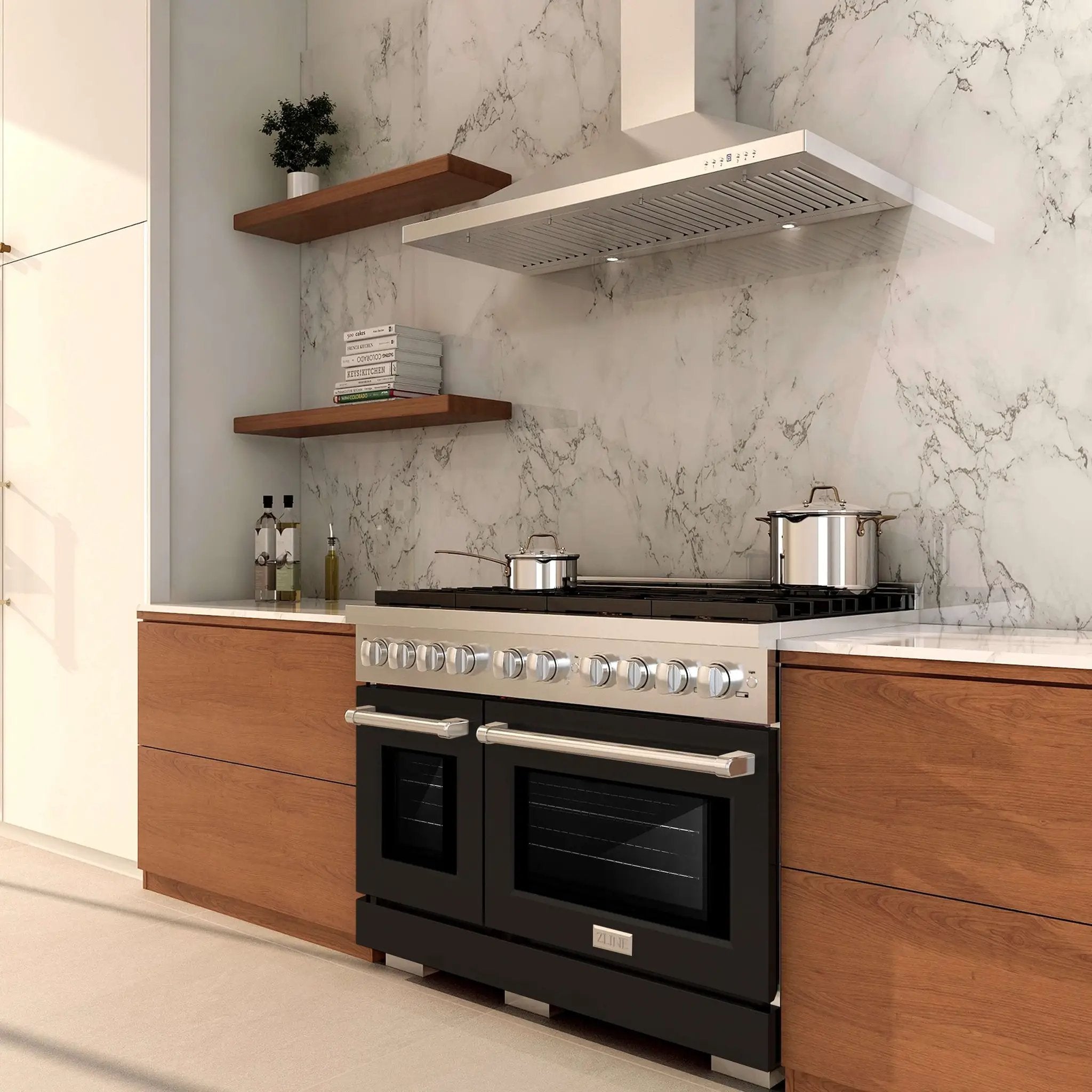 ZLINE 48"Paramount Dual Fuel Range Stainless Steel, Black Matte, SDR-BLM-48 by Farmhouse Kitchen and Bath