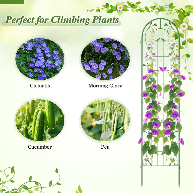2 Pack 86.5 x 20 Inches Metal Garden Trellis for Climbing Plants by DirectDeals