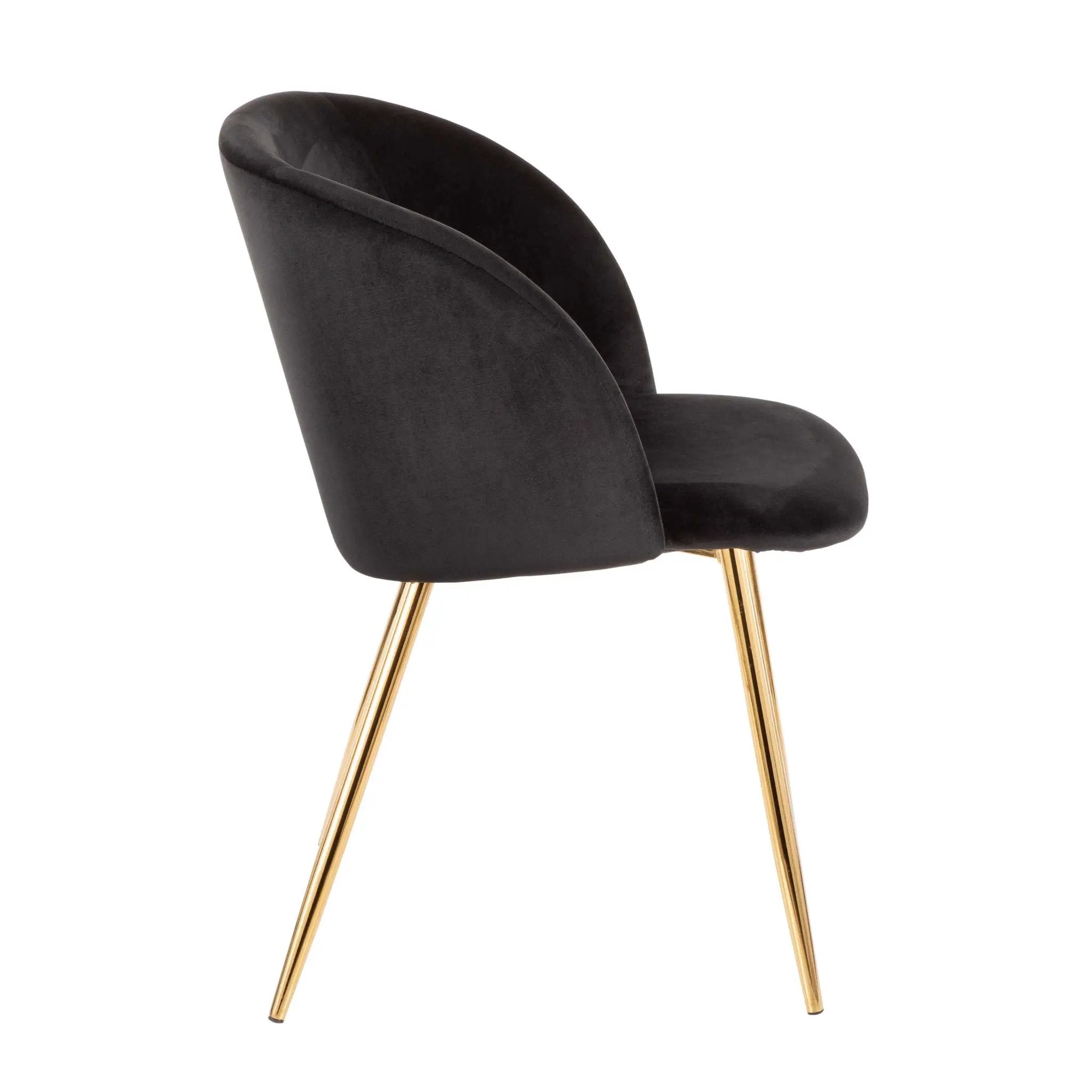 Fran - Contemporary Elegant Design Chair (Set of 2) by HouseOfZazla