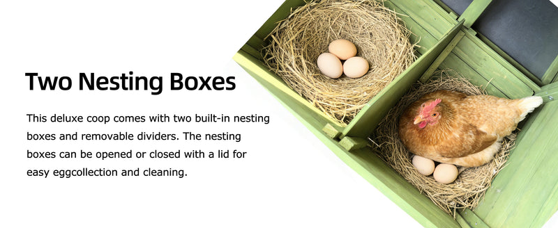 70" Automatic Chicken Coop with Solar-Powered Door by HouseOfZazla