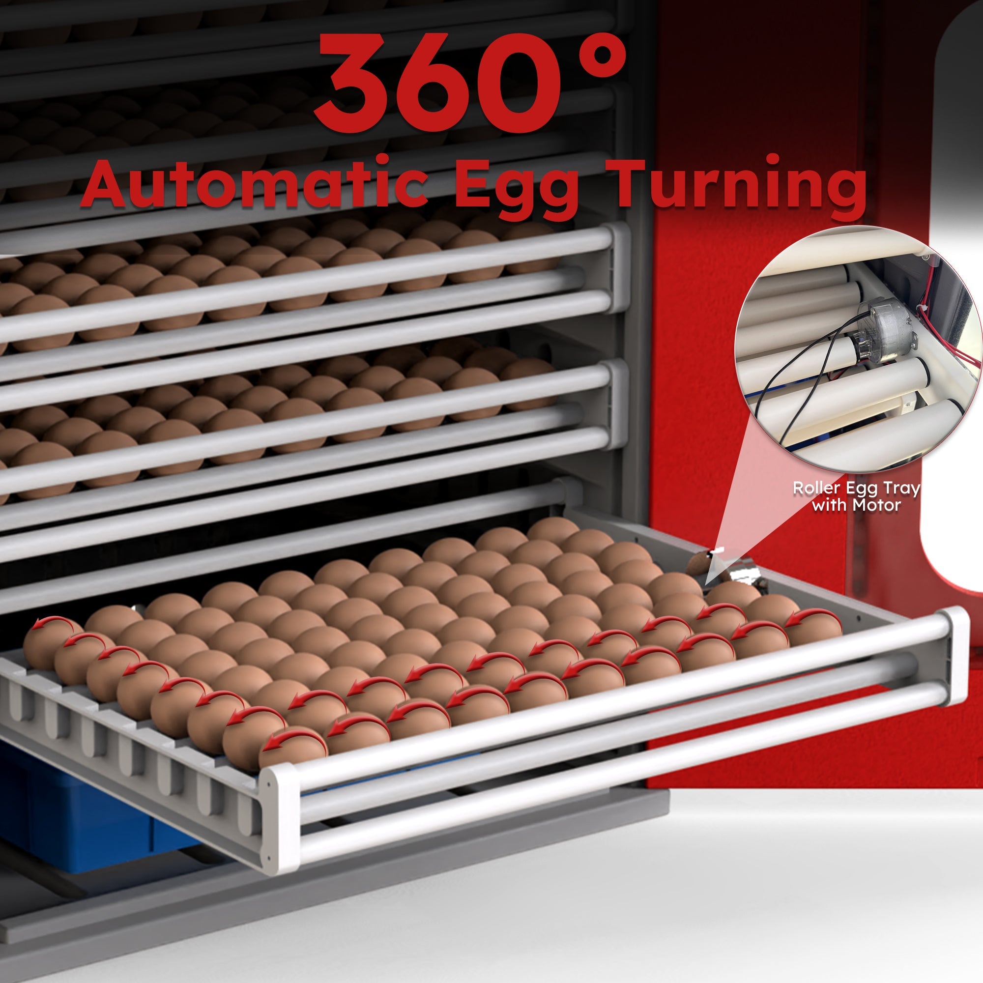 400-Egg Commercial Cabinet Incubator by HouseOfZazla