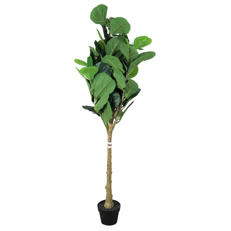 Artificial Fiddle Leaf Fig Tree 5.5FT with Planter by HouseOfZazla