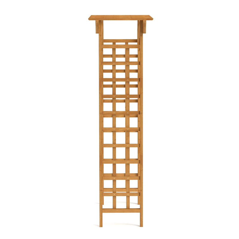 Arbor, Wedding Arch For Ceremony, Trellis For Plant Climbing, Christmas Decor Pergola For Garden Backyard - Yellow by HouseOfZazla