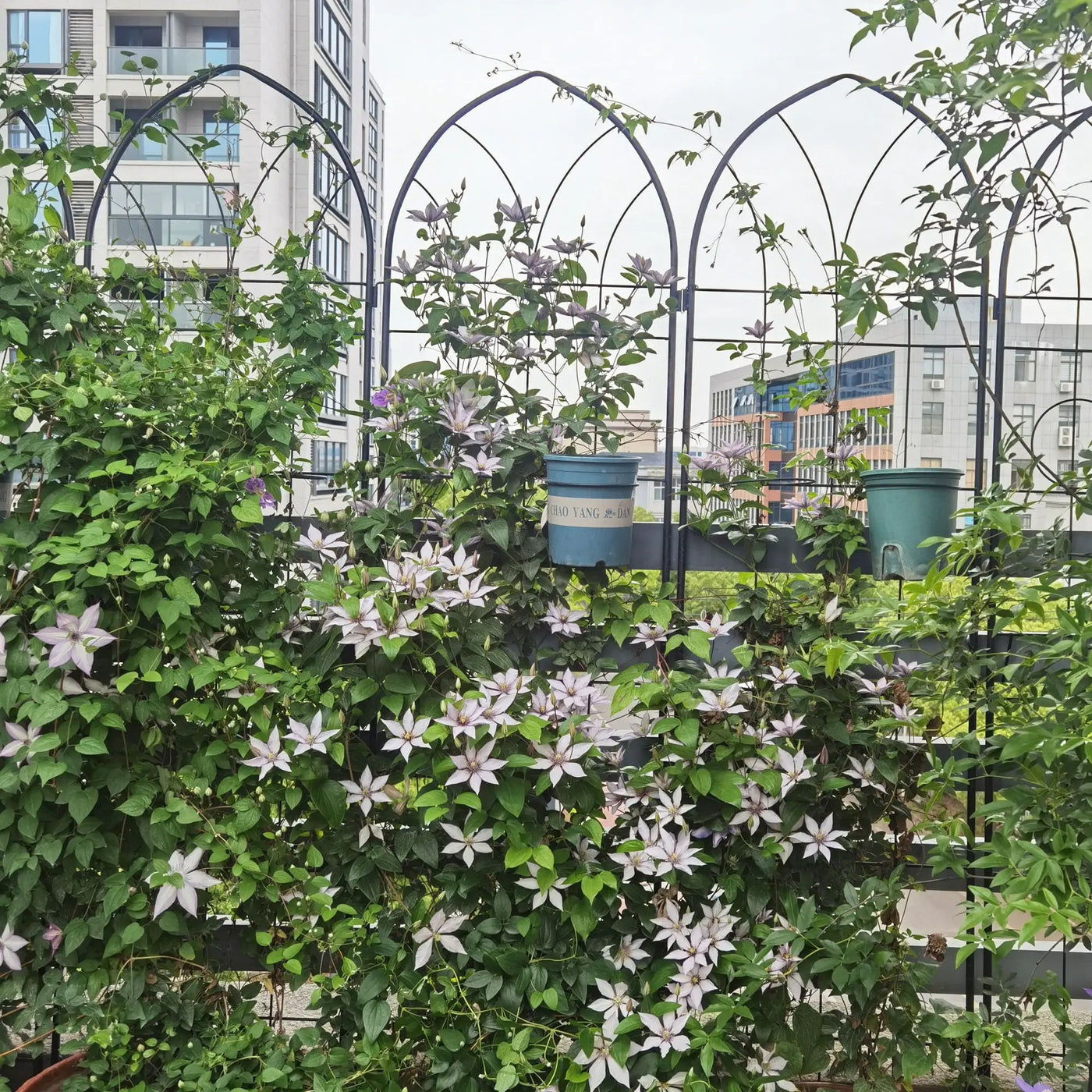 Metal Garden Trellis Rustproof Trellis For Climbing Plant, Outdoor Flower Support by Unique Piece Furniture