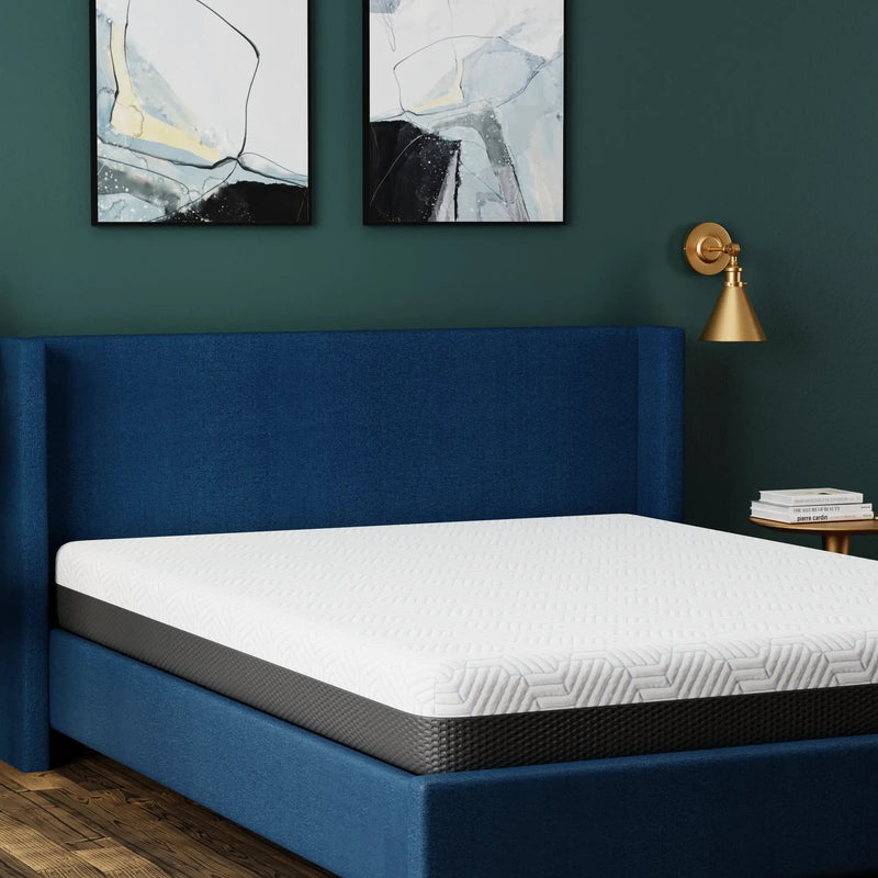 Omne Fria 8 Inch Queen Firm Mattress With Cooling Cover by HouseOfZazla