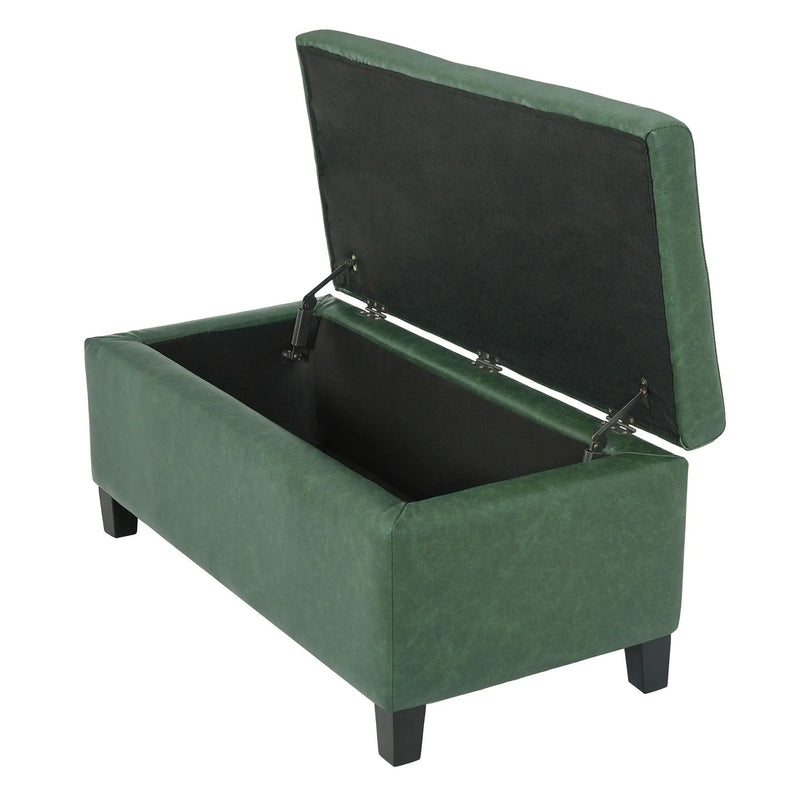 Storage Ottoman with Flip-Top Lid by HouseOfZazla