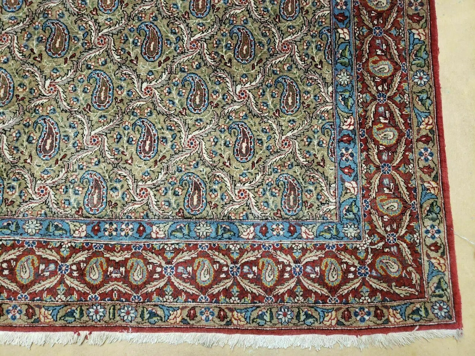 4' X 7' Handmade Turkish Wool Rug Paisley Hand Knotted Flowers One Of A Kind by Jewel Rugs