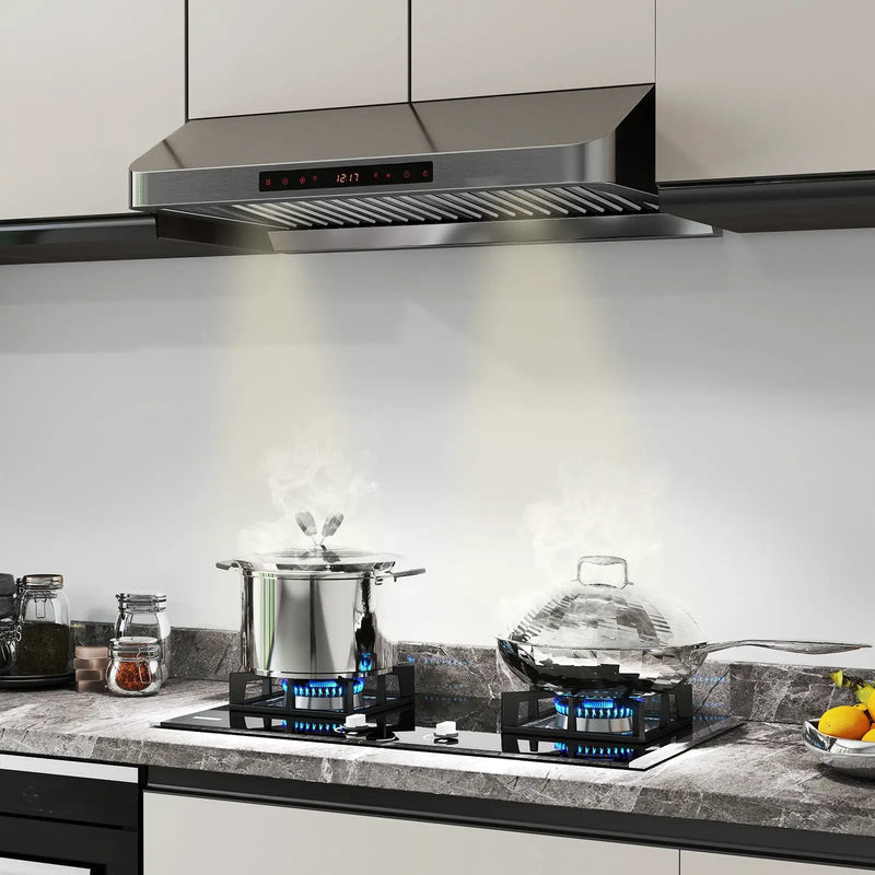 30 Inch Under Cabinet Range Hood with Oil Collector 900 CFM Stainless Steel Kitchen Vent-Silver by DirectDeals