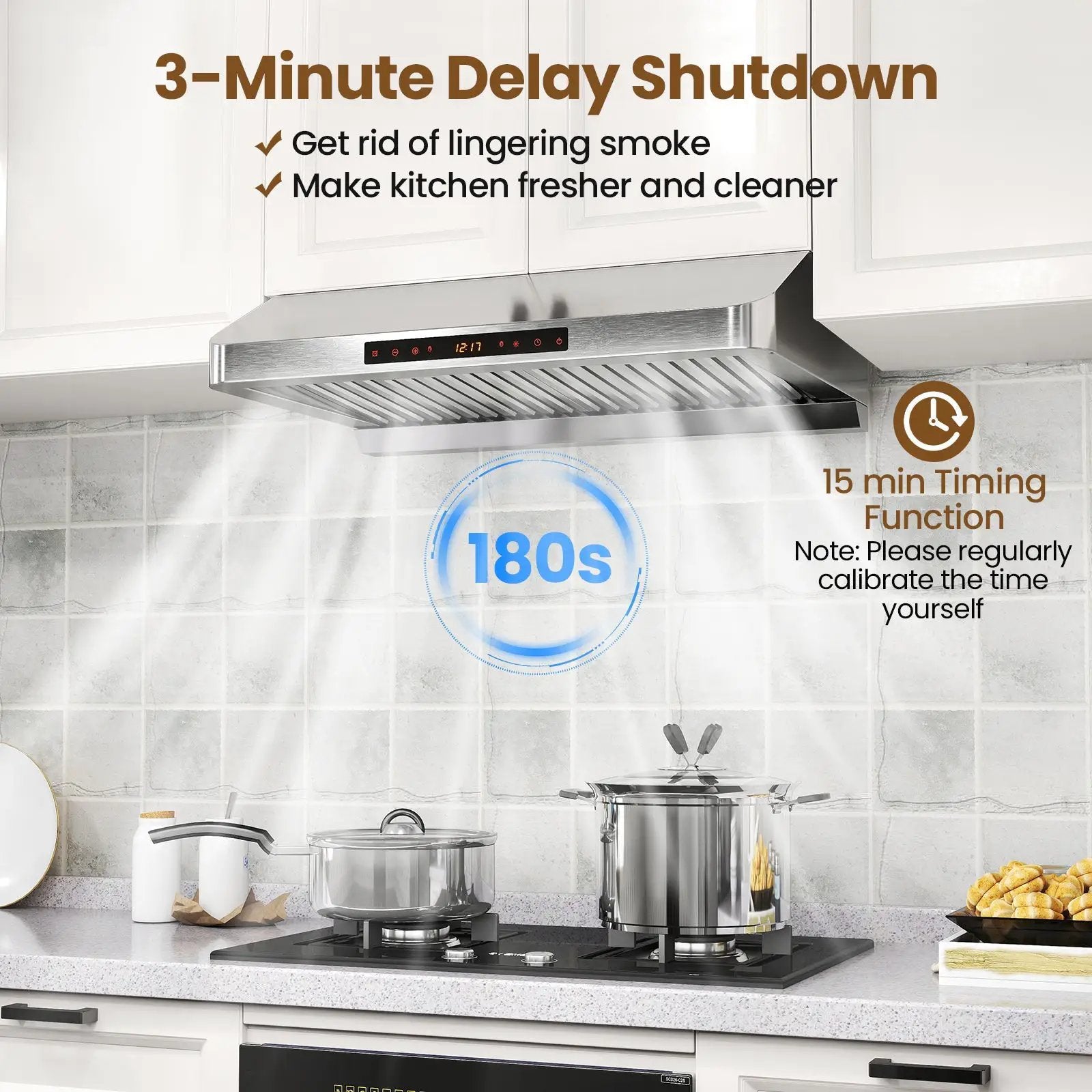 30 Inch Under Cabinet Range Hood with Oil Collector 900 CFM Stainless Steel Kitchen Vent-Silver by DirectDeals
