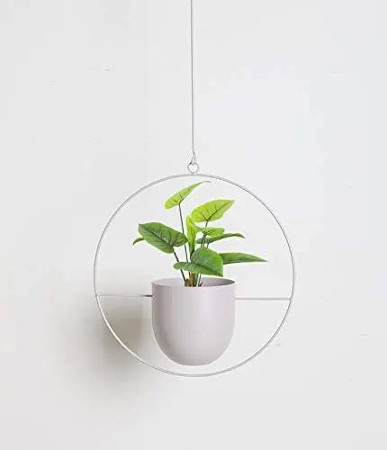 Boho White Metal Plant Hanger,Metal Wall and Ceiling Hanging Planter, Modern Planter, Mid Century Flower Pot Plant Holder, Minimalist Planter for Indoor Outdoor Home Decor… by GreenHaven Gardens
