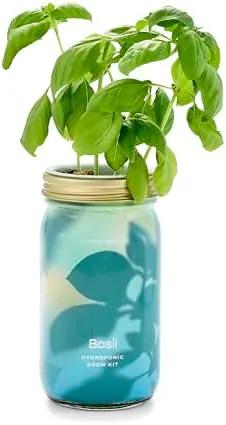 Modern Sprout Mason Garden Jar - Self-Watering Hydroponics Growing System Kit with Organic Herb Seeds - Jar Planter for Indoor Herb Garden - Seed Starter Kit - Home Decor & Gifting - Basil by GreenHaven Gardens