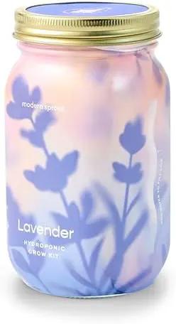 Modern Sprout Mason Garden Jar - Self-Watering Hydroponics Growing System Kit with Organic Herb Seeds - Jar Planter for Indoor Herb Garden - Seed Starter Kit - Home Decor & Gifting - Lavender by GreenHaven Gardens